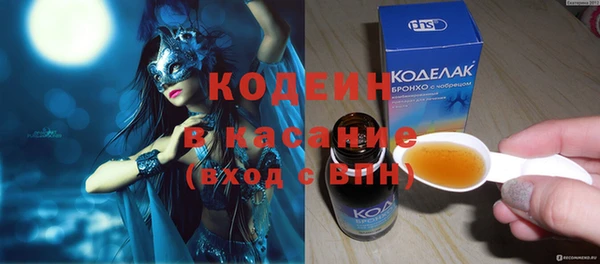 индика Алексин