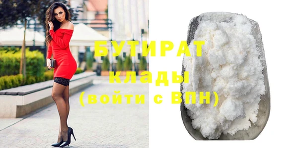 индика Алексин