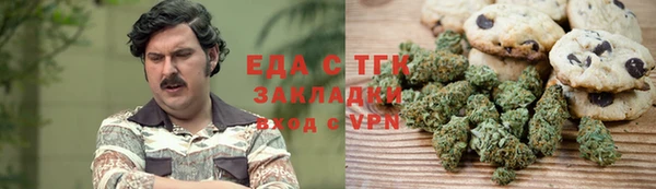 индика Алексин