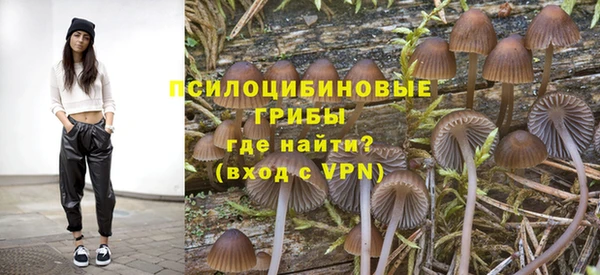 индика Алексин