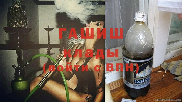 индика Алексин