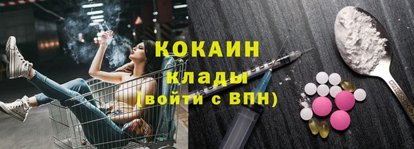 индика Алексин