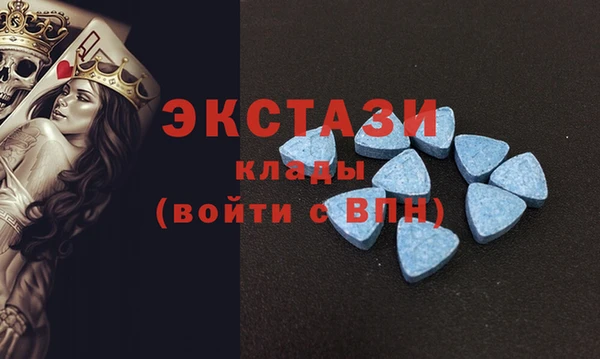 индика Алексин