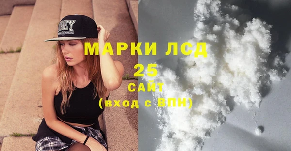 индика Алексин