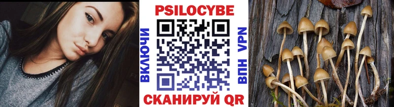 где найти   Гаврилов Посад  Псилоцибиновые грибы мухоморы 